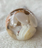 Round Wine Stopper- Multi Shell