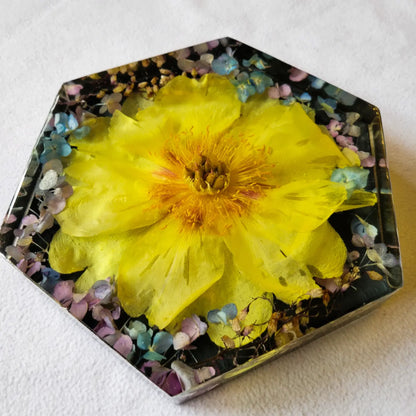 Floral Preservation Hexagon Keepsake